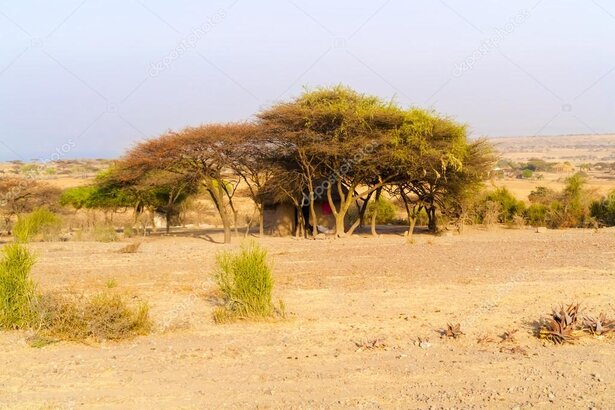 Minibus touristique sur une route du Sénégal entre villages et paysages verdoyants